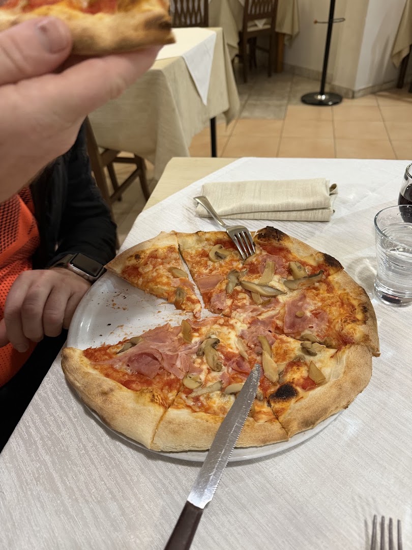 Il Gelso