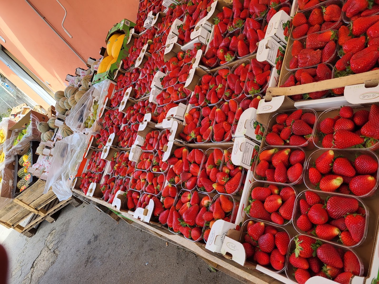 Il Giardino Delle Delizie, San Felice a Cancello