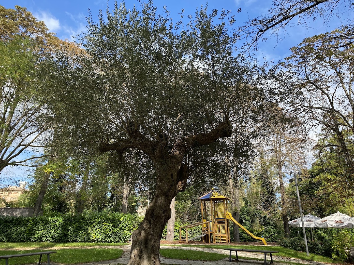 Il Giardino di Pergola