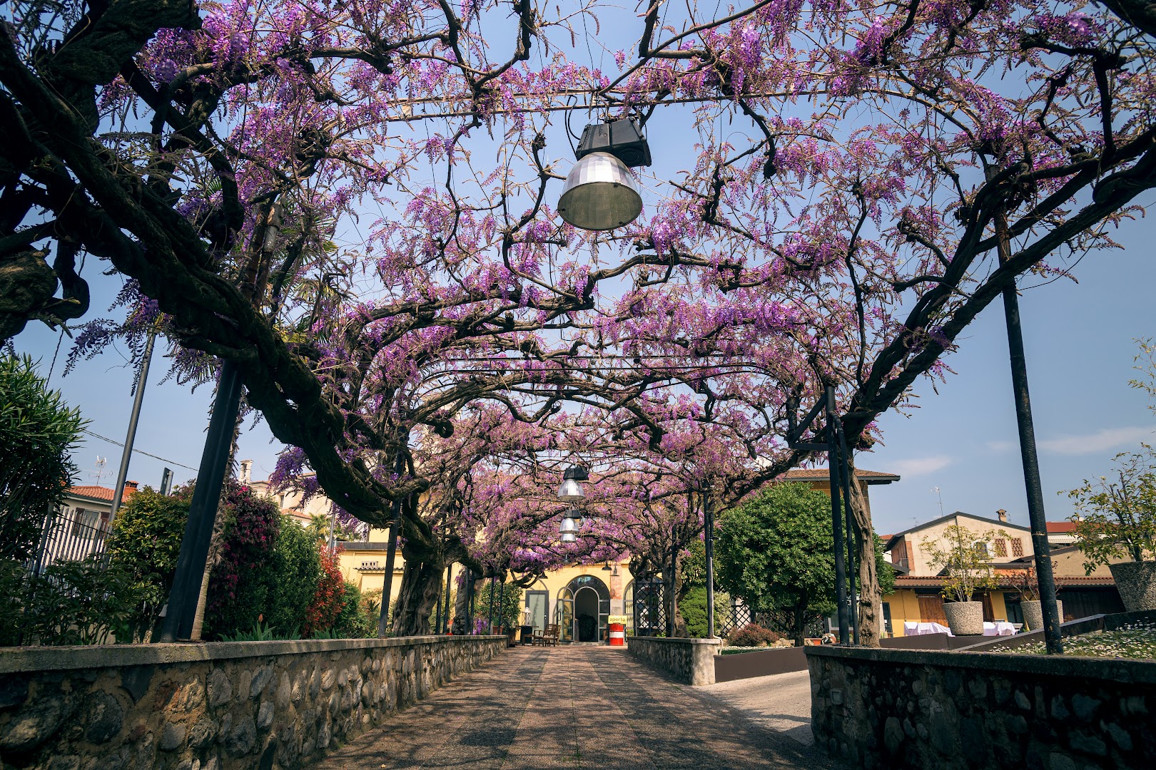 il Glicine B&B e RISTORANTE