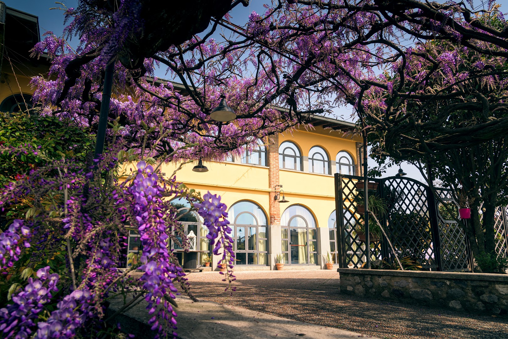 il Glicine B&B e RISTORANTE