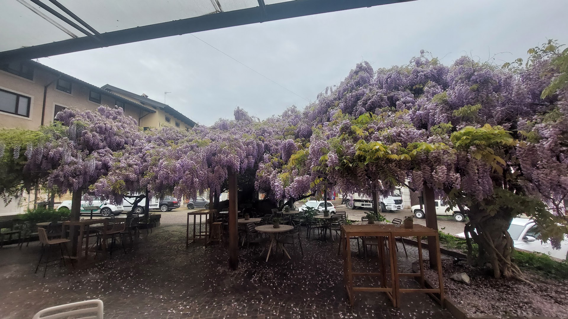Il Glicine Bistrot