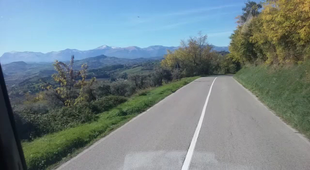 Il Grillo Magico Di Cavalieri Simone & C. Sas