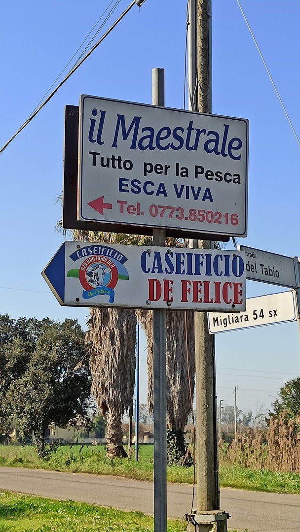 Il Maestrale Pesca