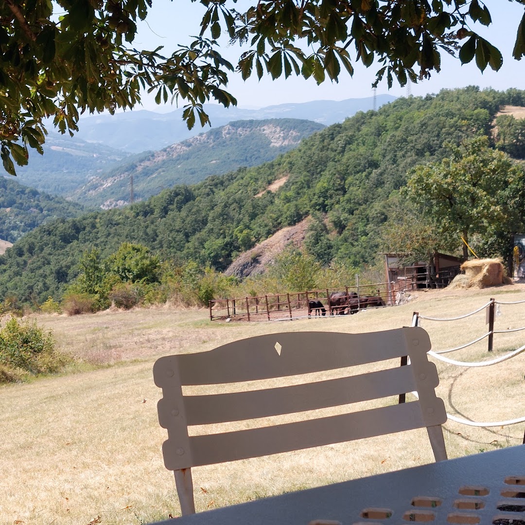 Il Melograno di Matilde