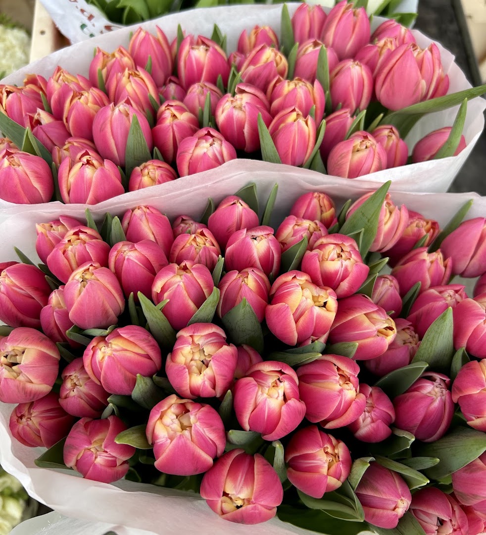 Il Mercato Piante e Fiori, Sarezzo