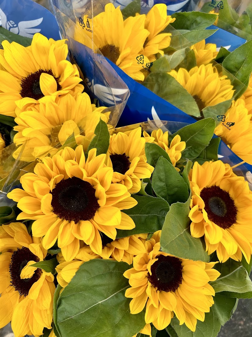 Il Mercato Piante e Fiori
