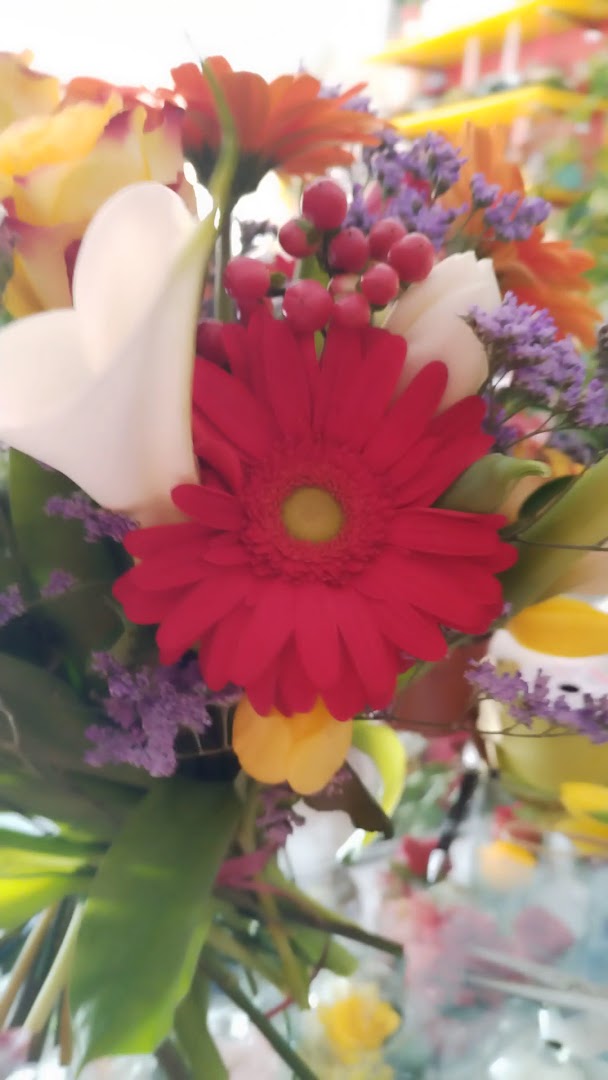 Il Mondo Dei Fiori