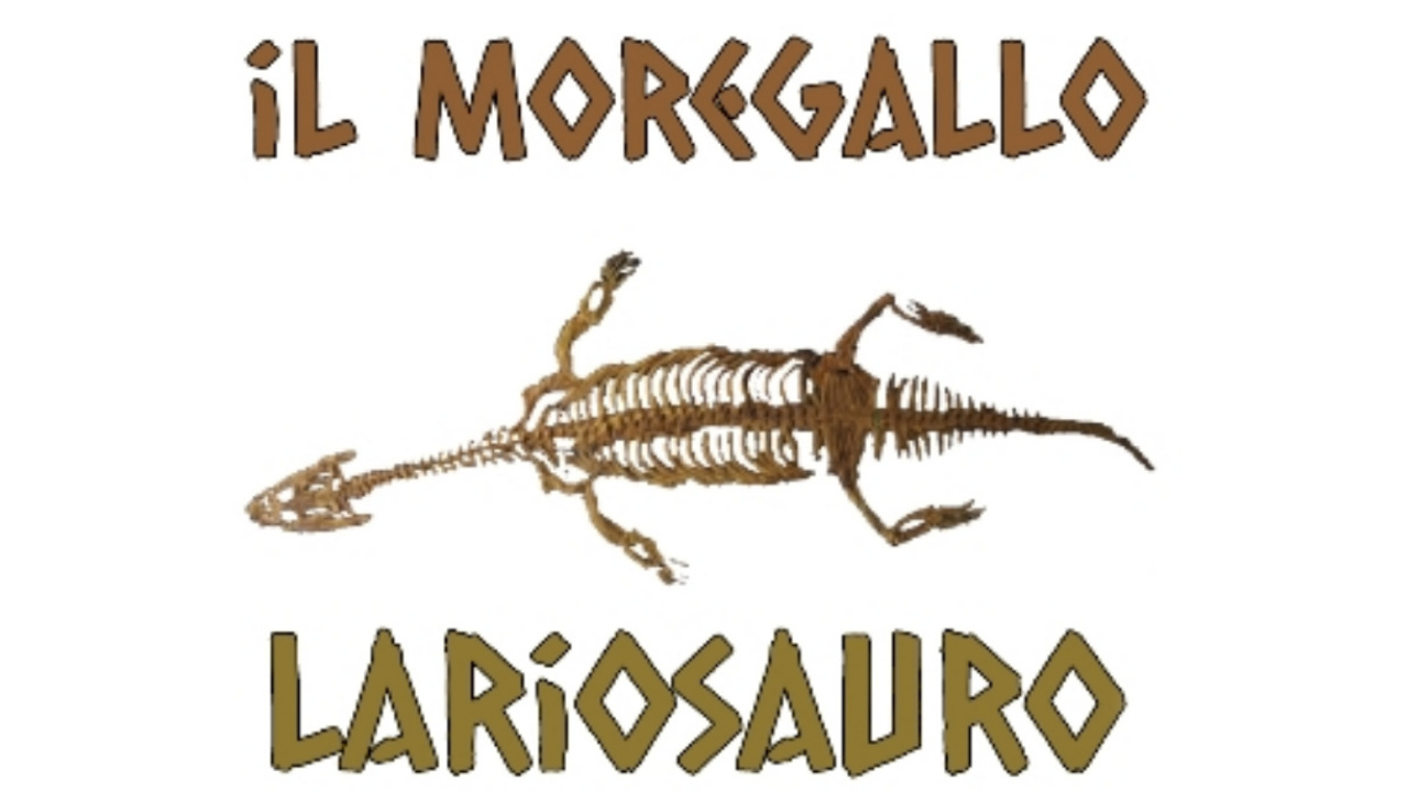 Il Moregallo