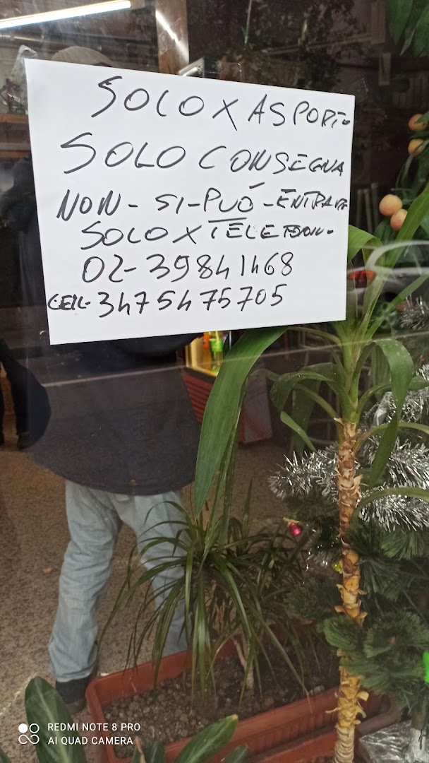 Il Mulino 1
