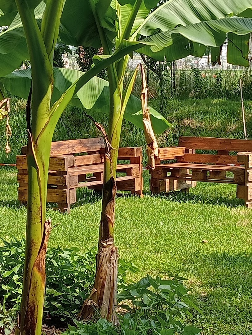 Il Noceto Modena Parco Attrezzato per Grigliate Feste, Eventi., Modena