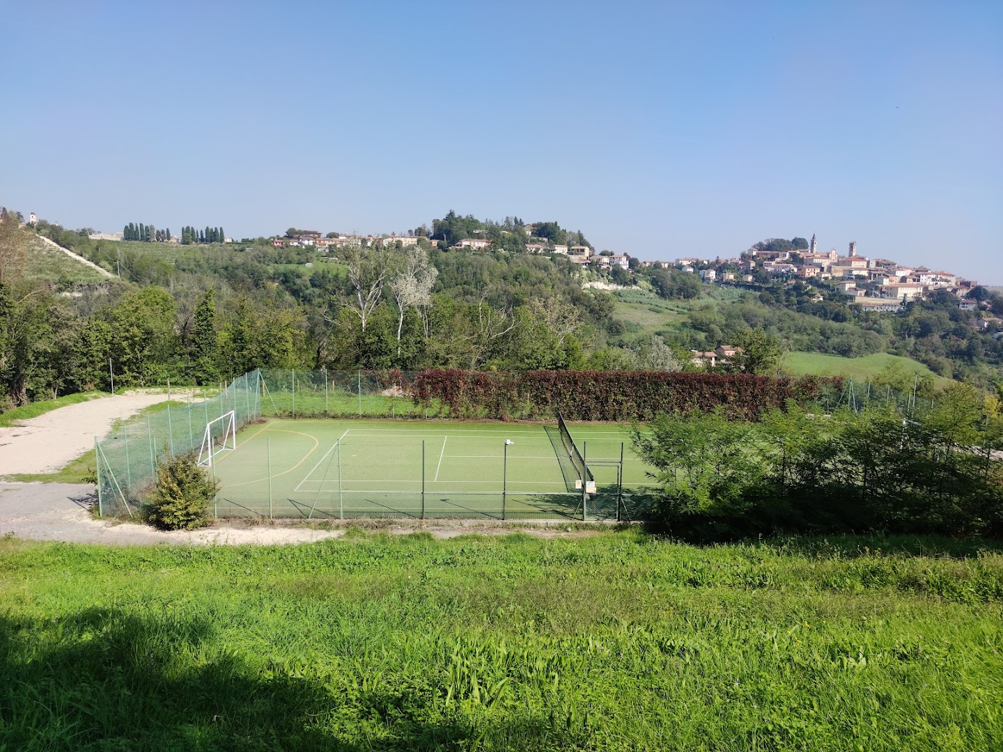 Il Nuovo Carpino