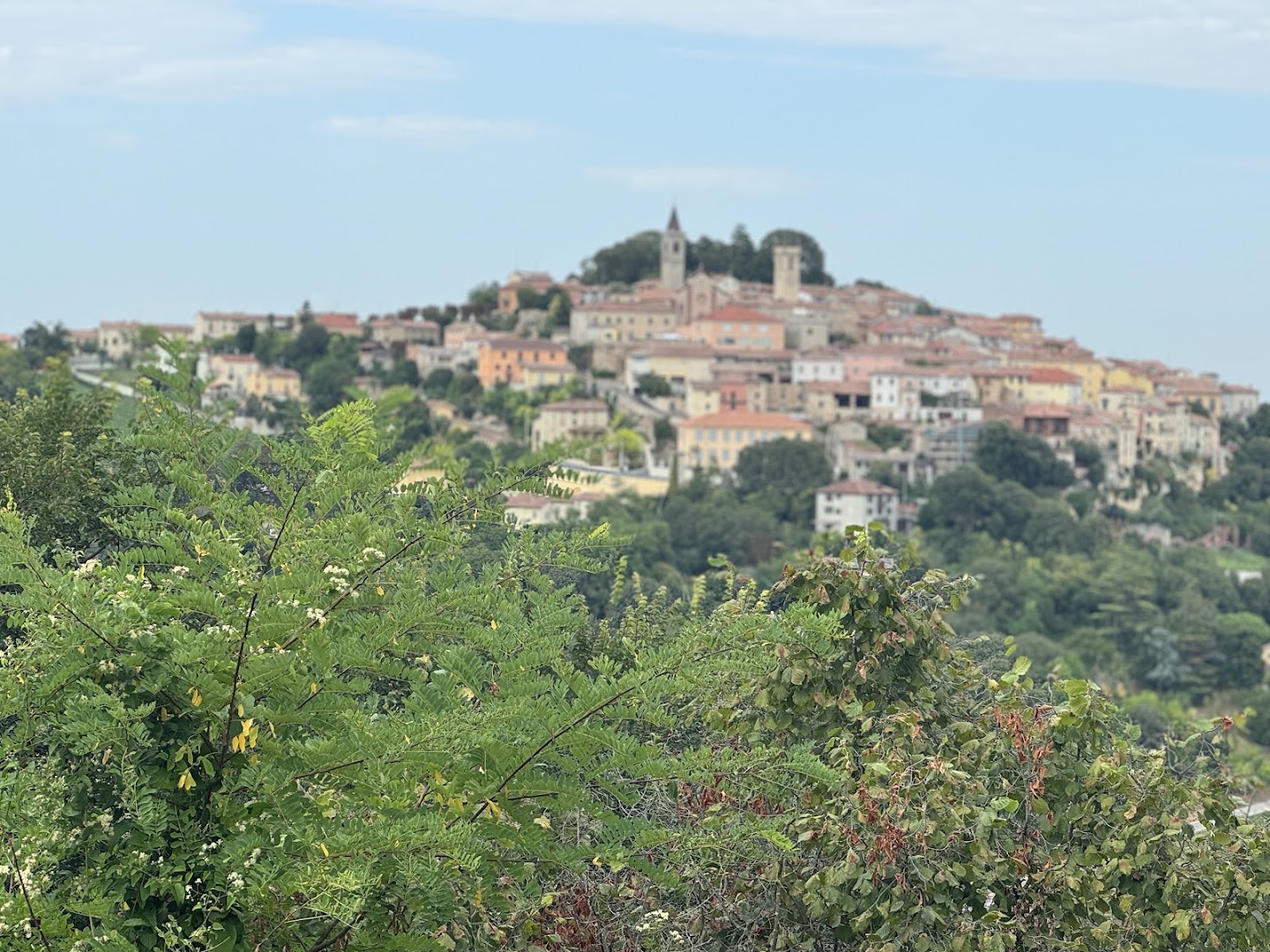 Il Nuovo Carpino