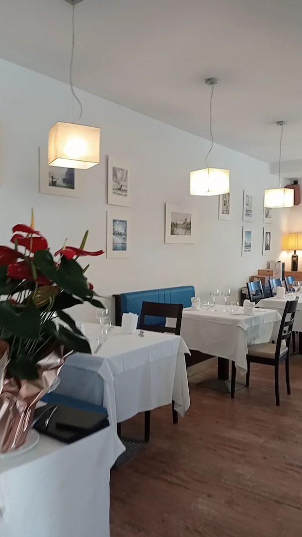 il pacchero solitario