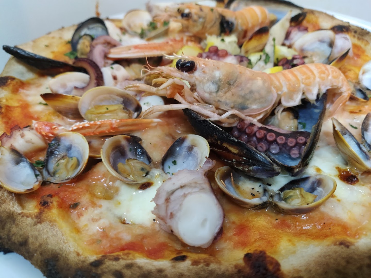 Il Paladino Ristorante Pizzeria