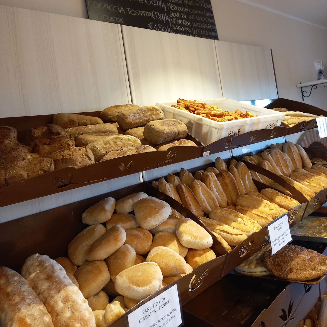 Il Pane Di Montezemolo Di Varrone Alex, Montezemolo
