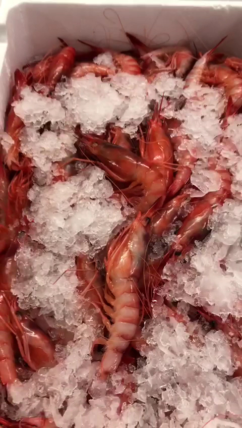 Il Peperoncino Seafood & Pizza, Roma