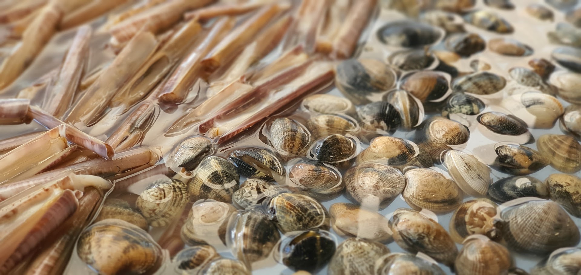 Il Peperoncino Seafood & Pizza