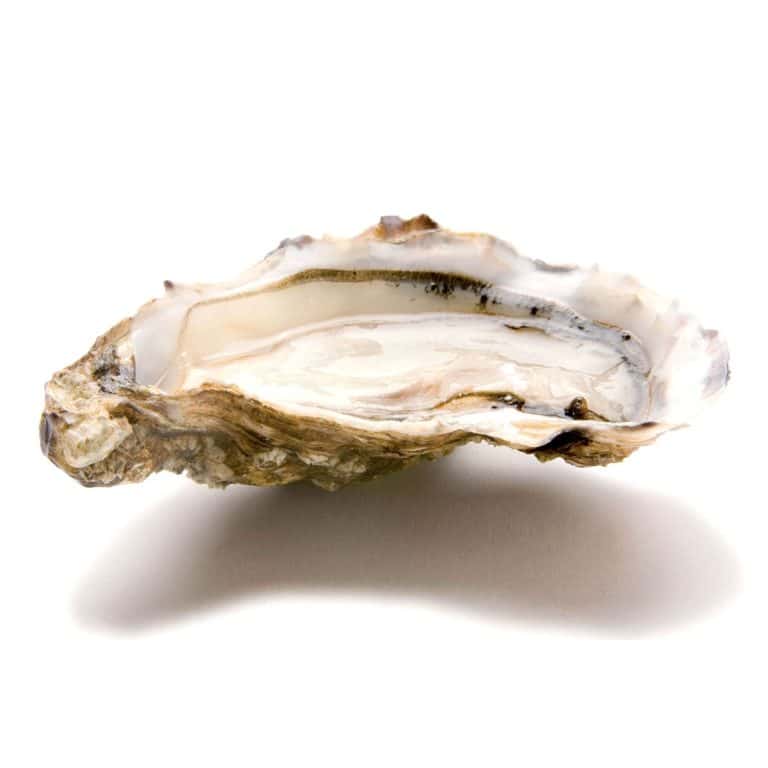 Il Pescatorio