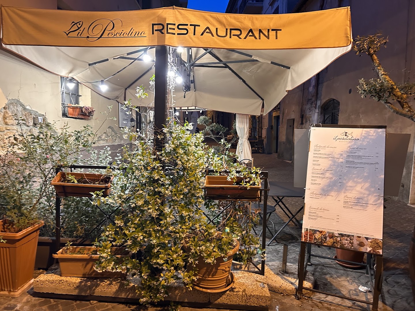 Il Pesciolino