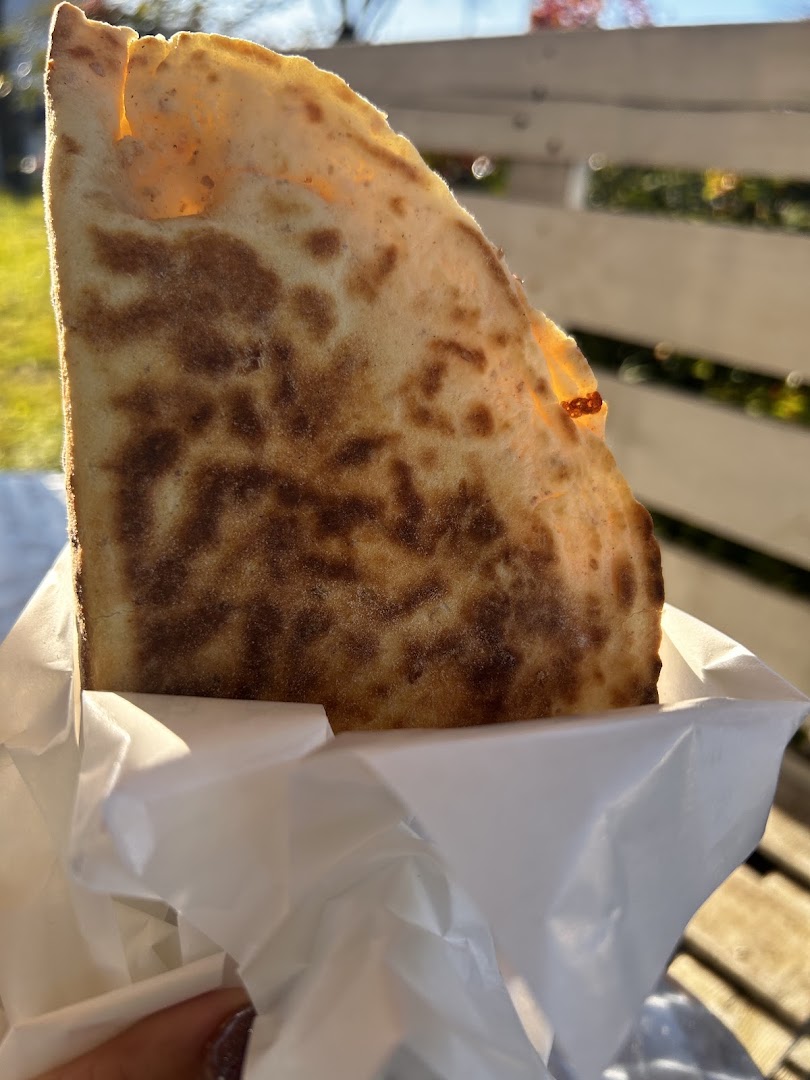 Il Piadinosauro
