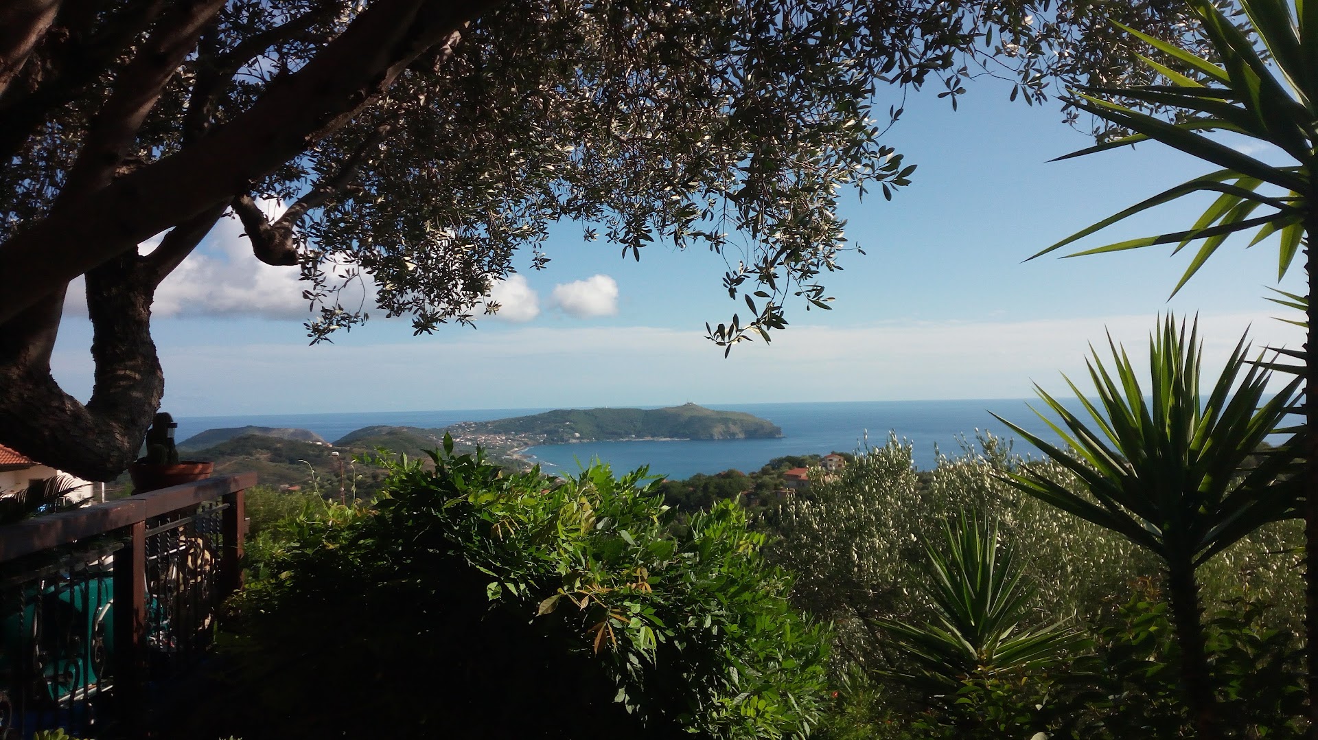 Il Poggio Del Cardinale
