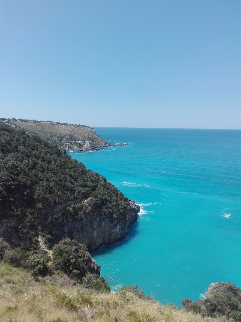 Il Poggio Del Sole