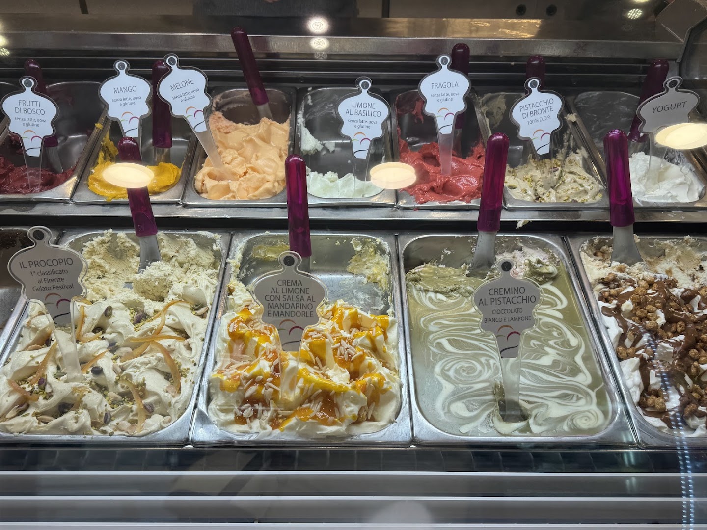 Il Procopio, Firenze