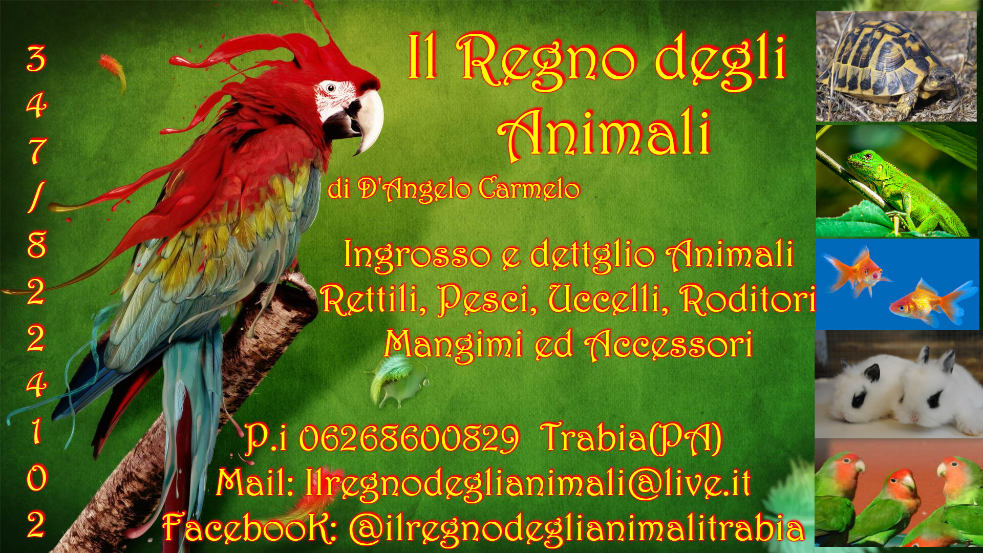 Il Regno degli Animali di D'Angelo Carmelo