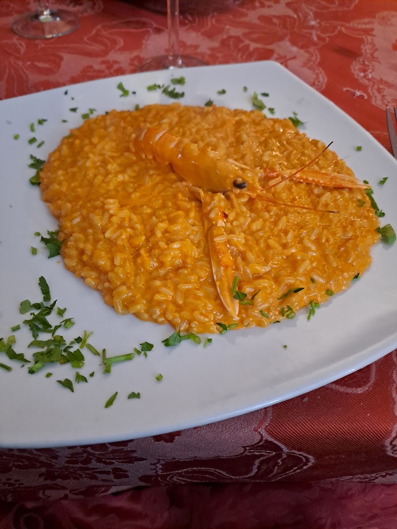 Il Riccio di mare