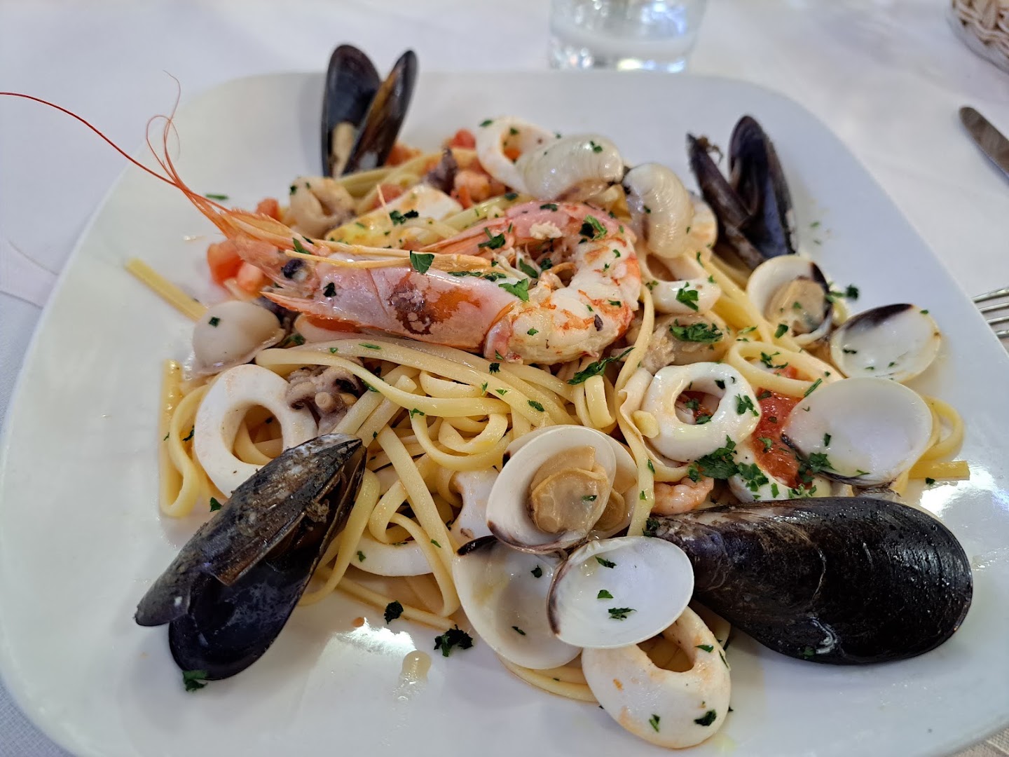 Il Roccolino