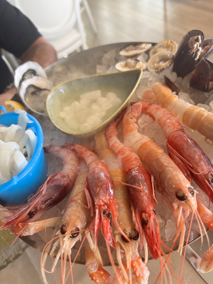 Il Timone - Ristorante di pesce