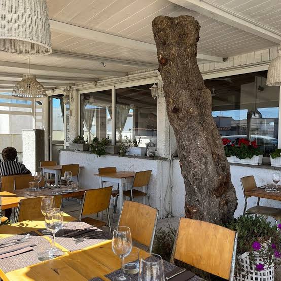 Il Timone - Trattoria di pesce - Fregene (RM), Fregene