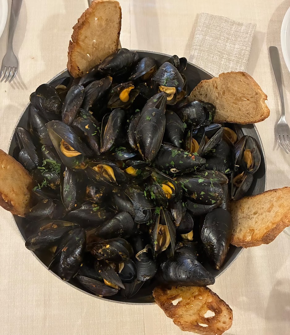 Il Trullo Torino Trattoria Pugliese