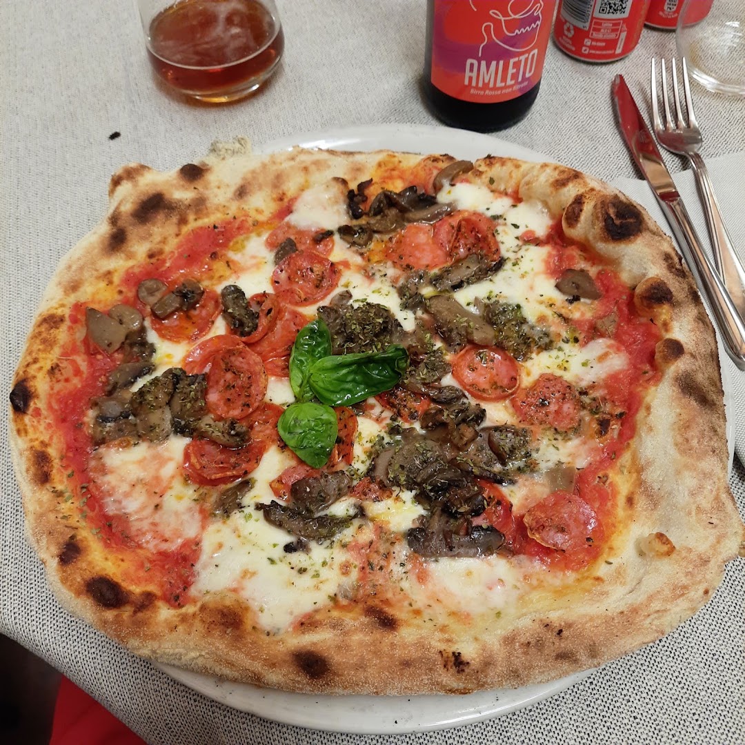 Il Tulipano Vecchia Limidi