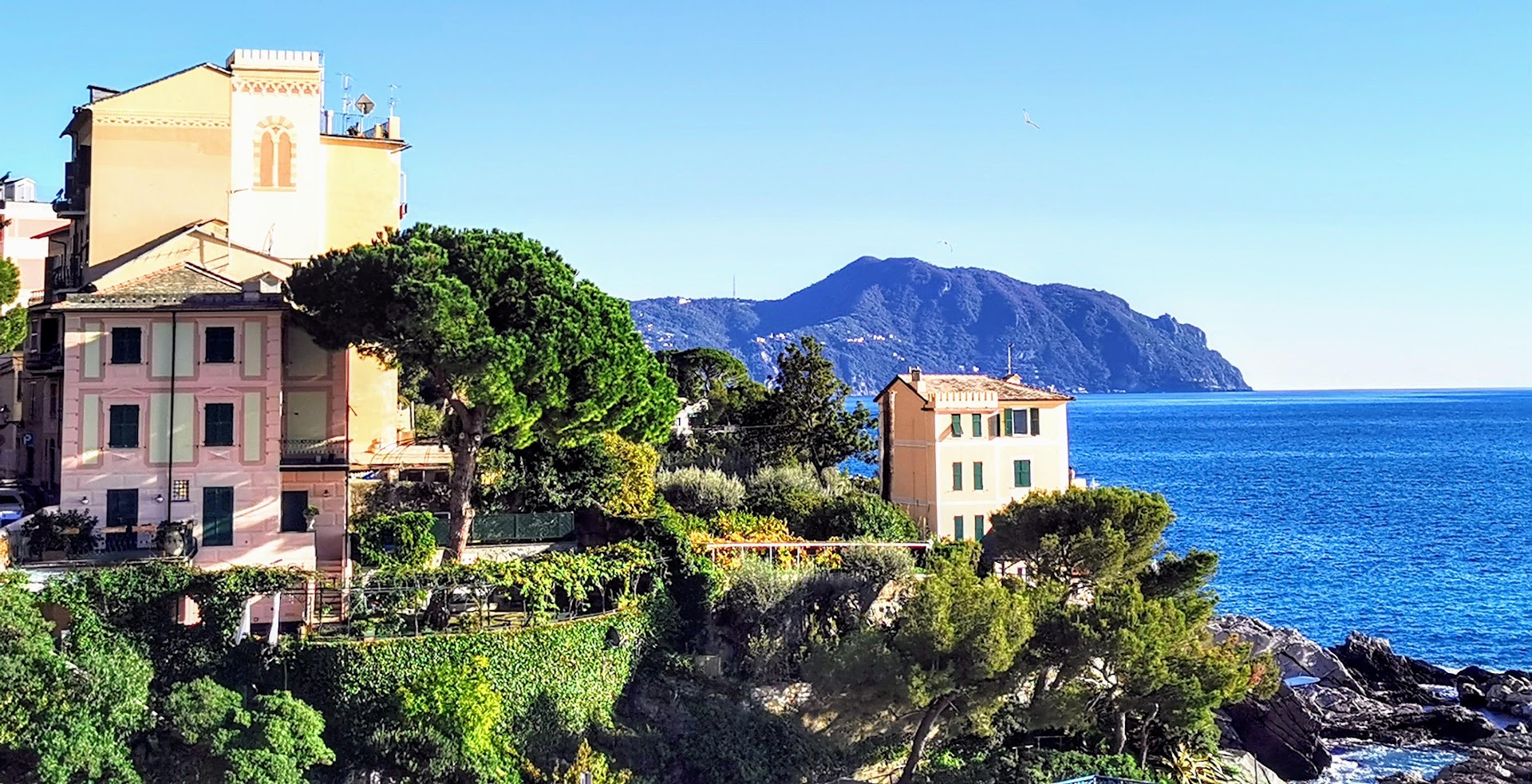 IL VAGABONDO, Mornago