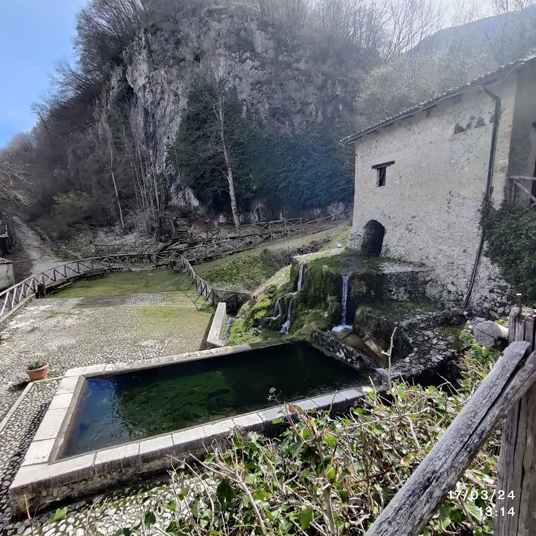 Il Verrecchiano