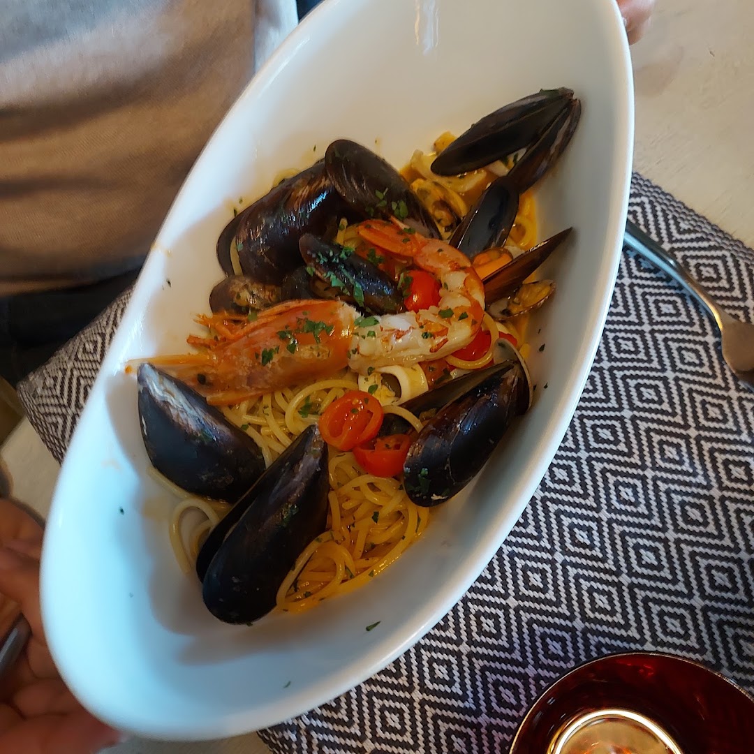 Il Pesce Fuor d'Acqua