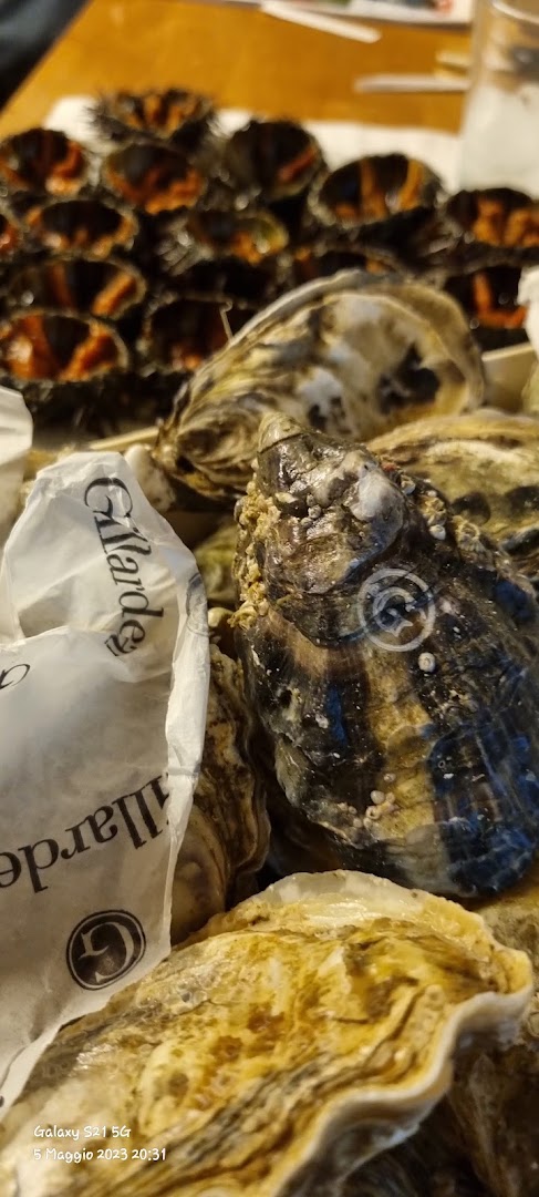 Il Pesce Fuor d'Acqua
