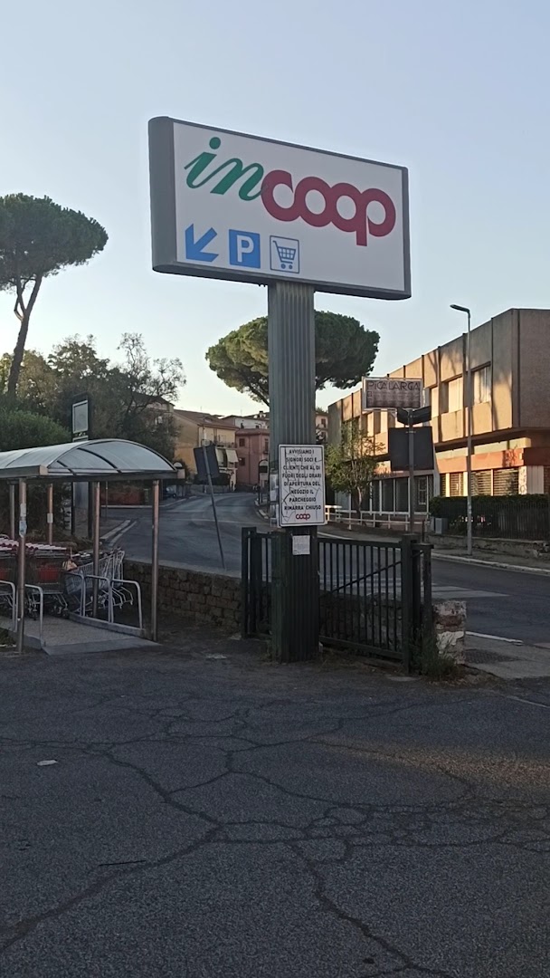 INCOOP, Amelia
