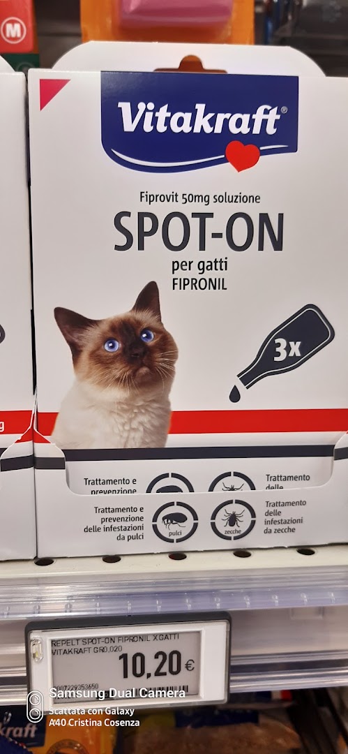 INCOOP