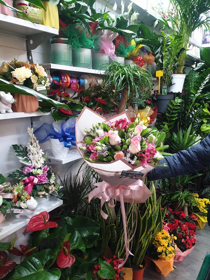 Indipendenza Florita, Palermo