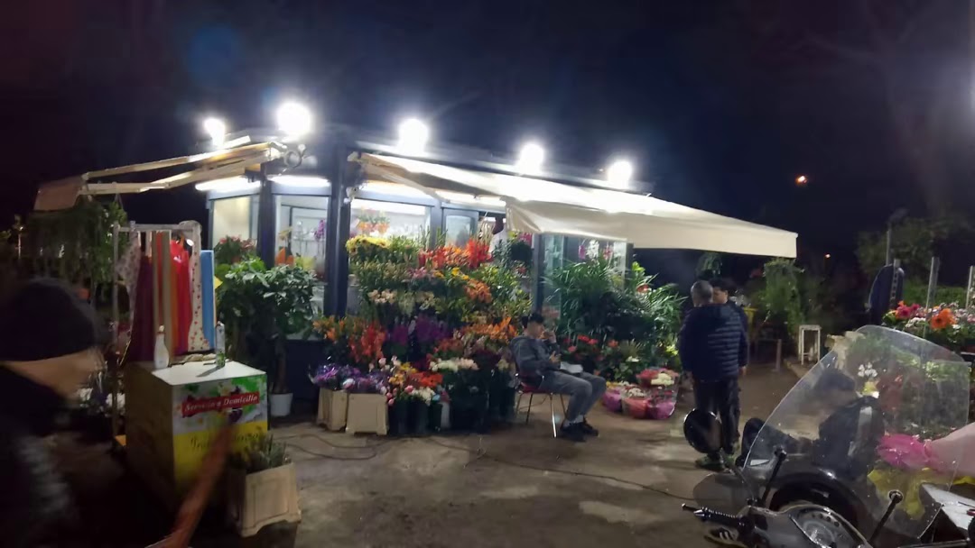 Indipendenza Florita