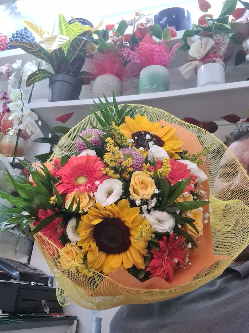 Indipendenza Florita