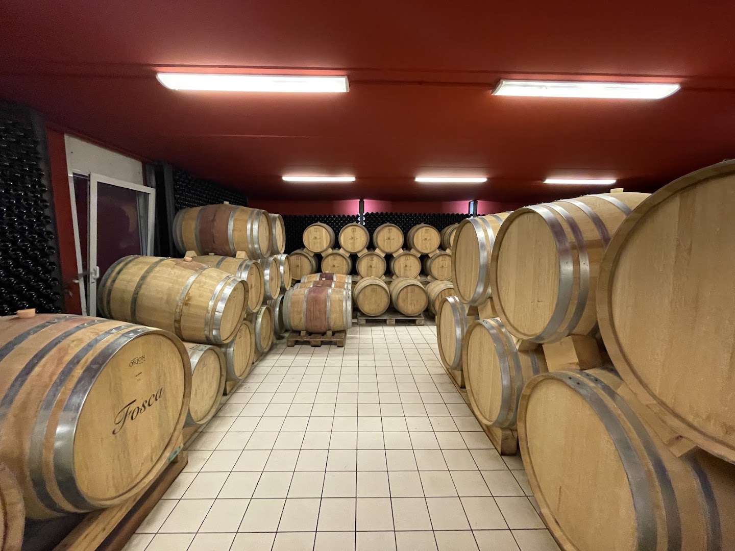 ioMazzucato Cantina Vitivinicola