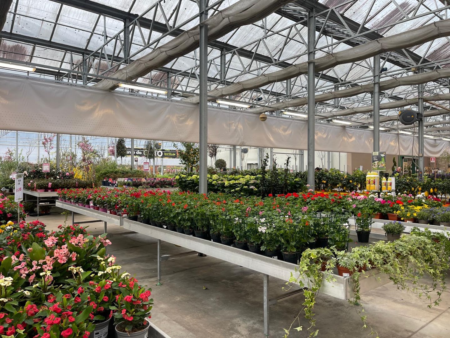Iperverde Garden Center