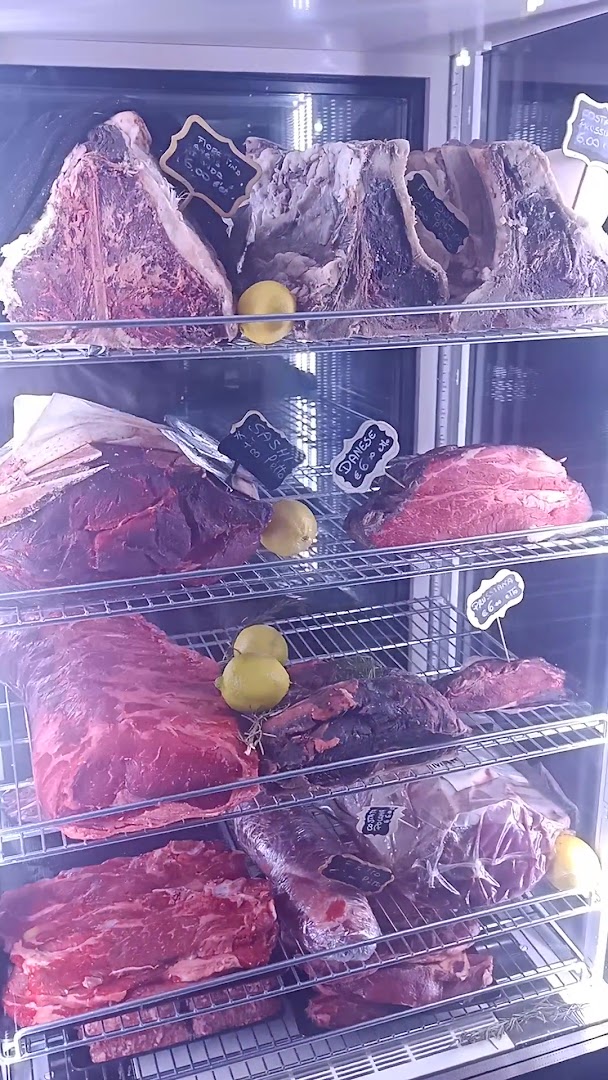 Ippocampo ristorante Trattoria Roma