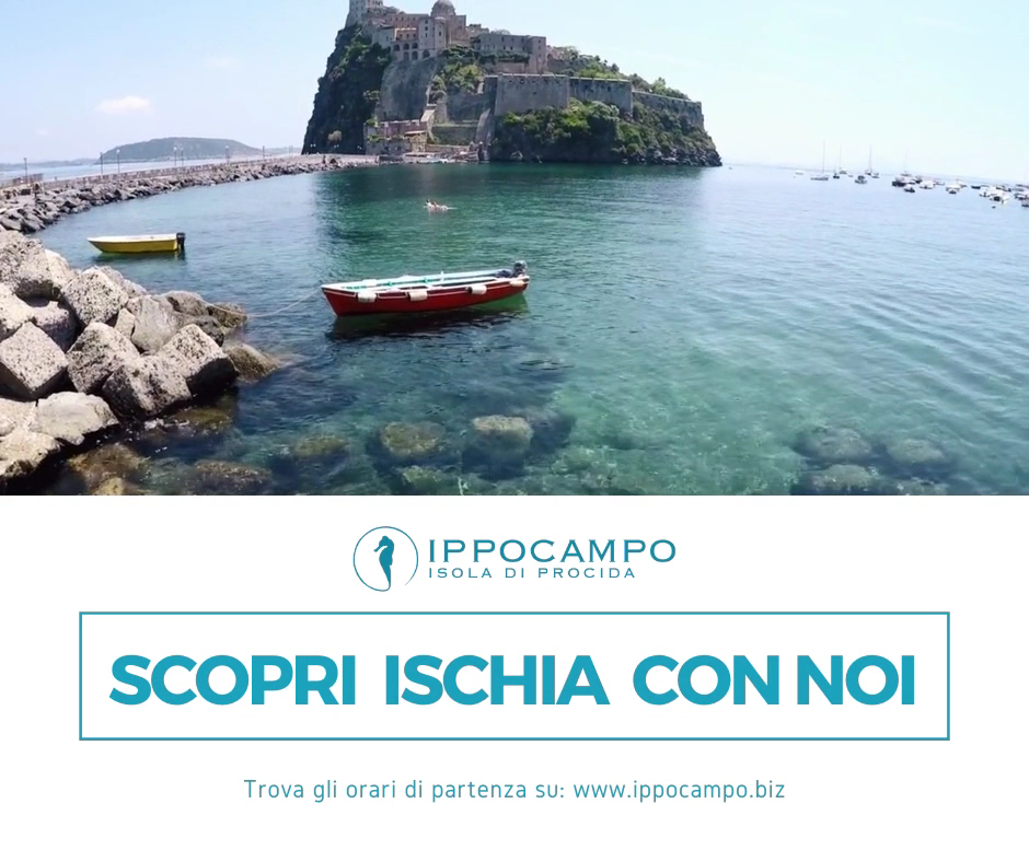 IPPOCAMPO S.r.l