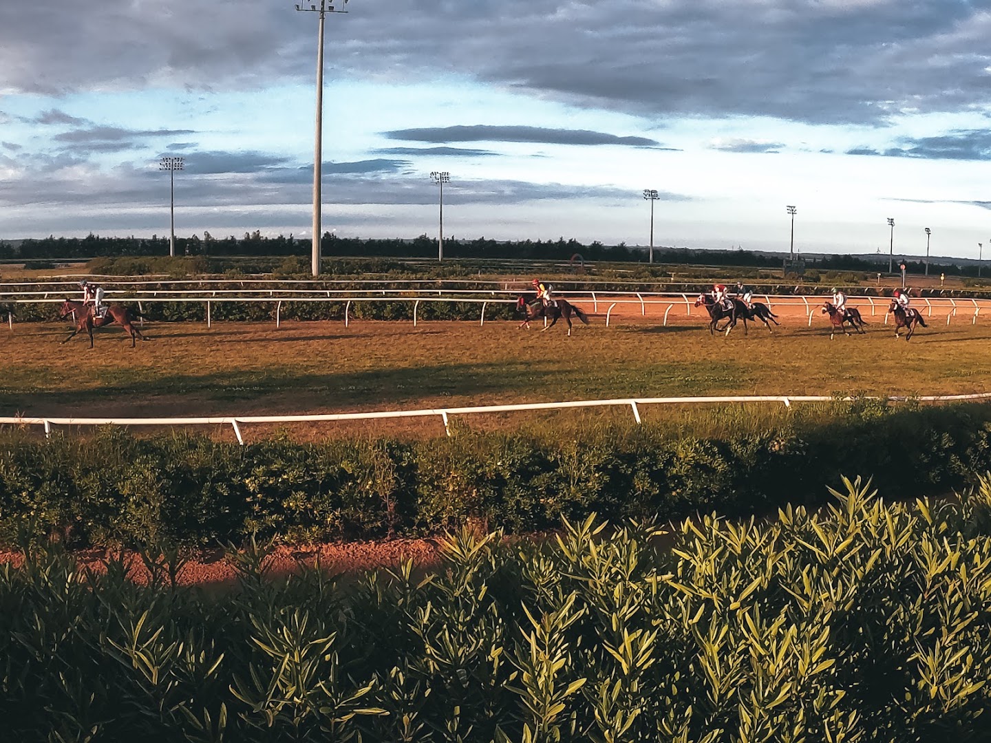 Ippodromo del Mediterraneo