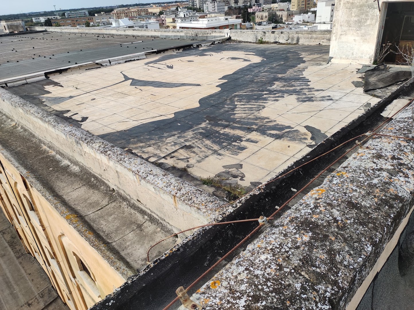 IQOS PARTNER - Tabaccheria de Monti, Lecce, Lecce